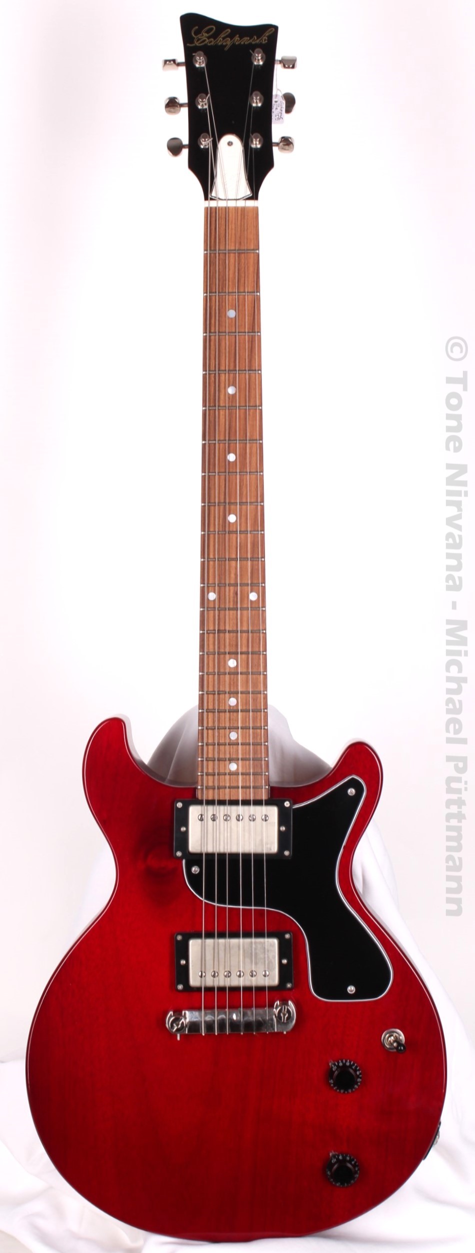 Echopark Guitars '59 DC Checked Vintage Cherry, Goldie PAFs DT1582